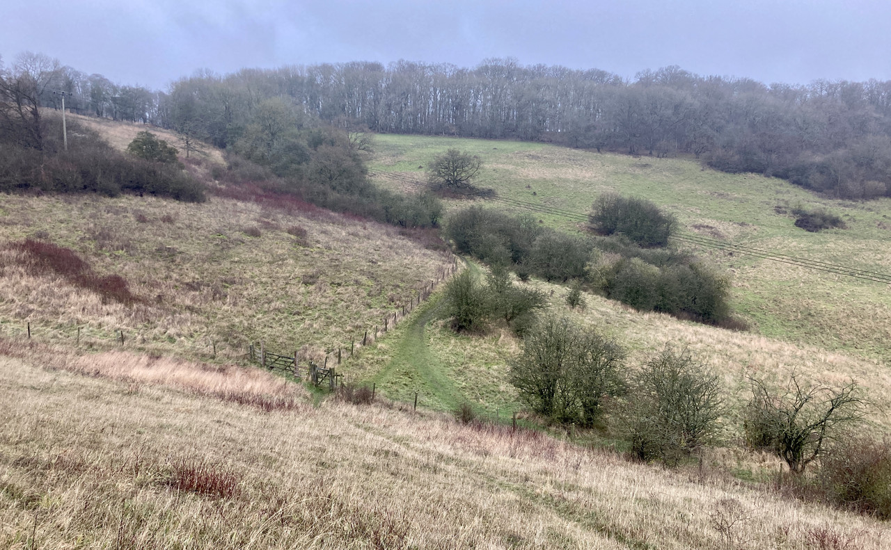 6A486306-825C-4150-8EA9-99D89AD45703