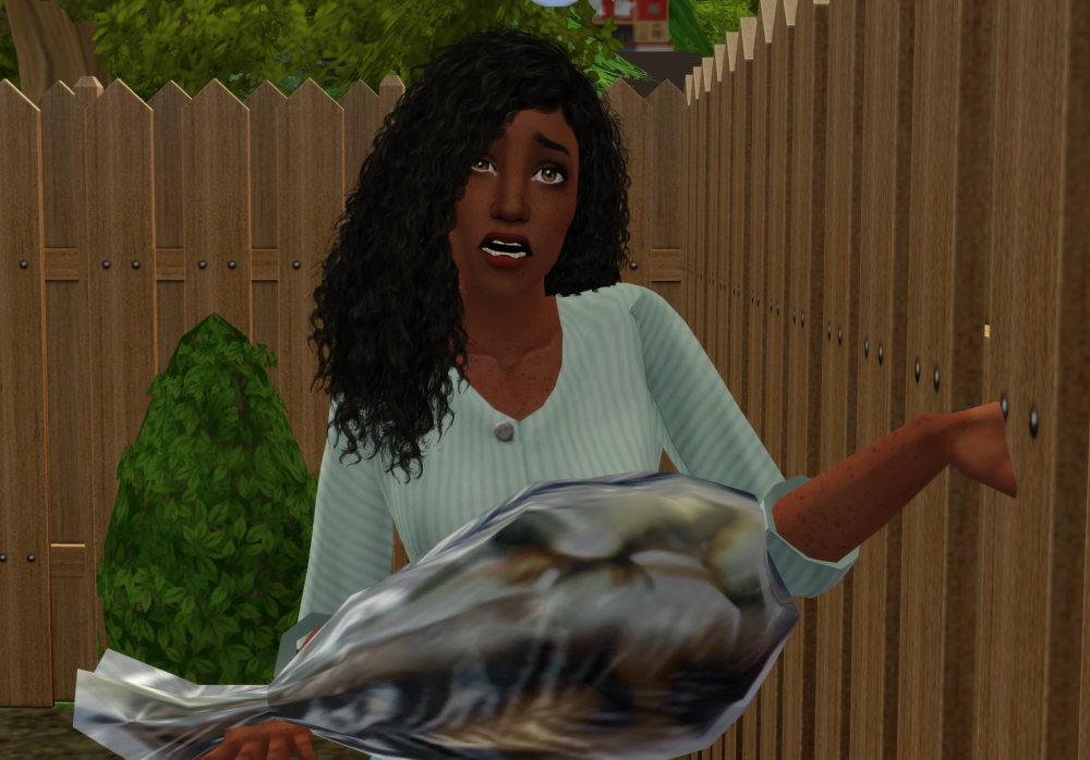 Sims2-EP9-RPC-2021-09-09-21-38-11-24