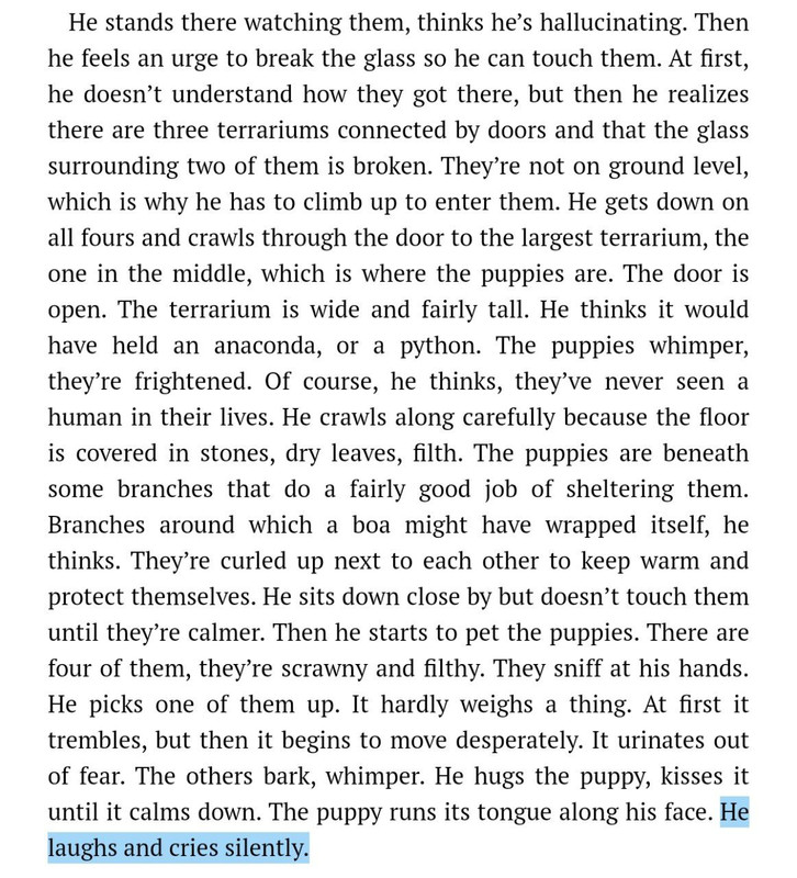 IMG_20240205_213335_555