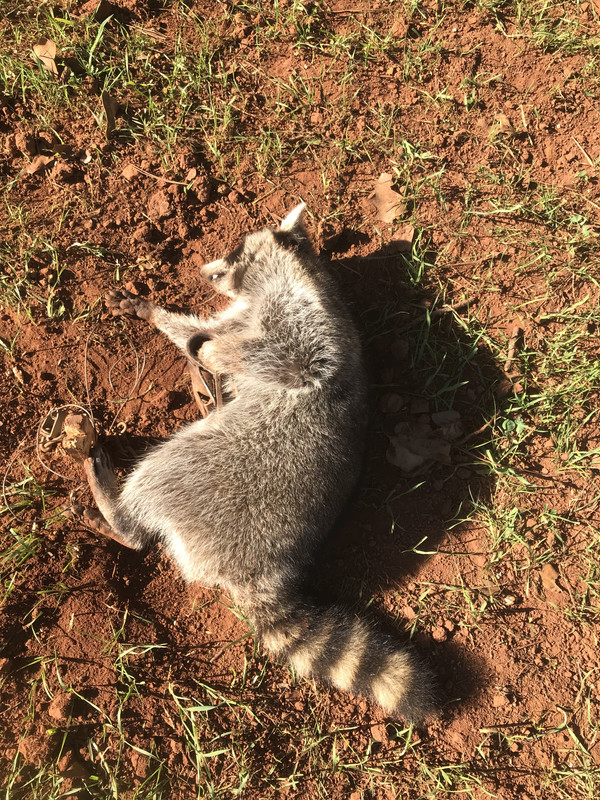 9140DB28-ED80-4C6C-88E4-4E76304221AC