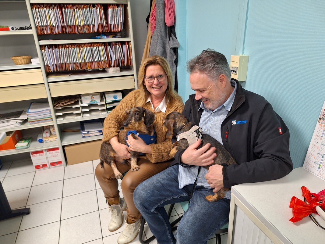 [Image: 20240126-180053.jpg]