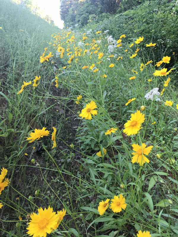 9D83DE53-5C1A-4245-84D1-C46E13FC1E25