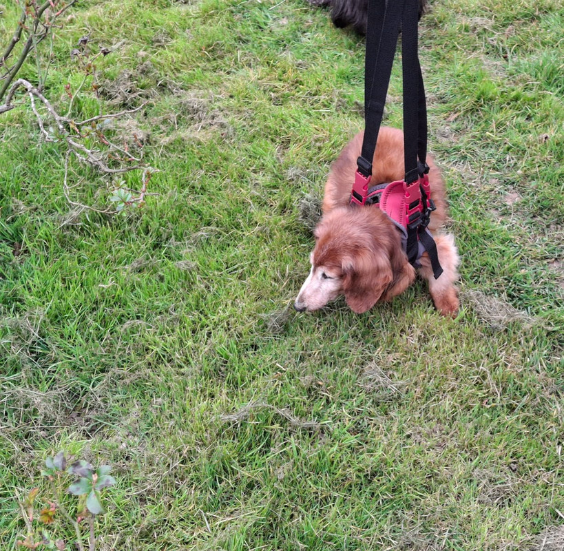 [Image: IMG-20250309-WA0003.jpg]