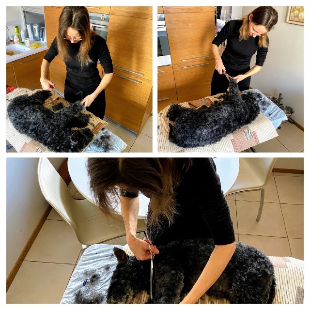 85-C720-D7-A486-47-AF-9-FA6-46-B0-C8-E0-