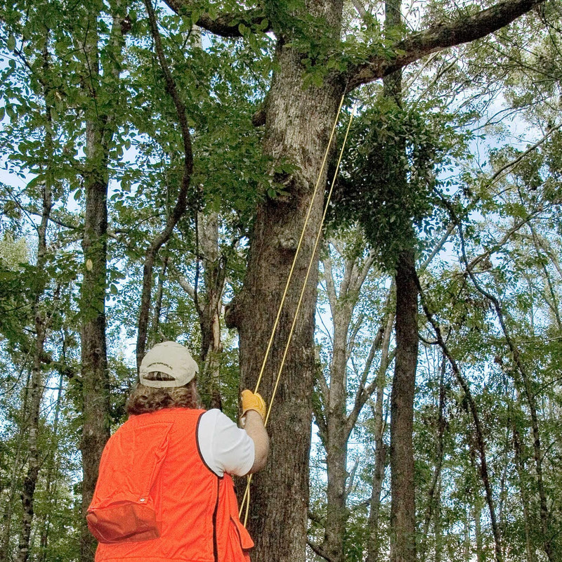 91Jyupe-sLL._AC_SL1500_