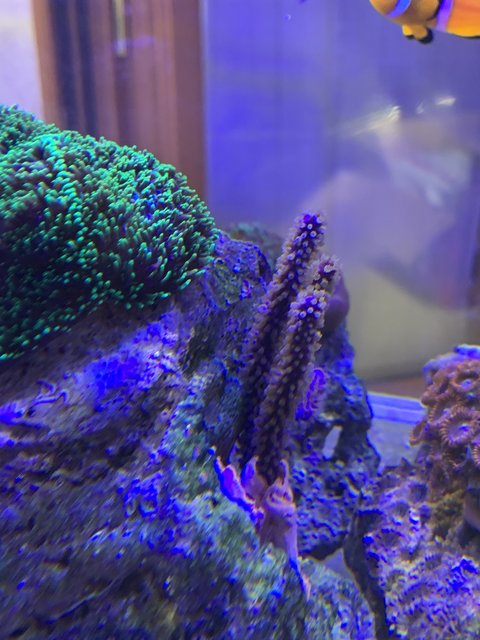 B1BC3304-D17F-4089-8F4D-97401ED2C3C3