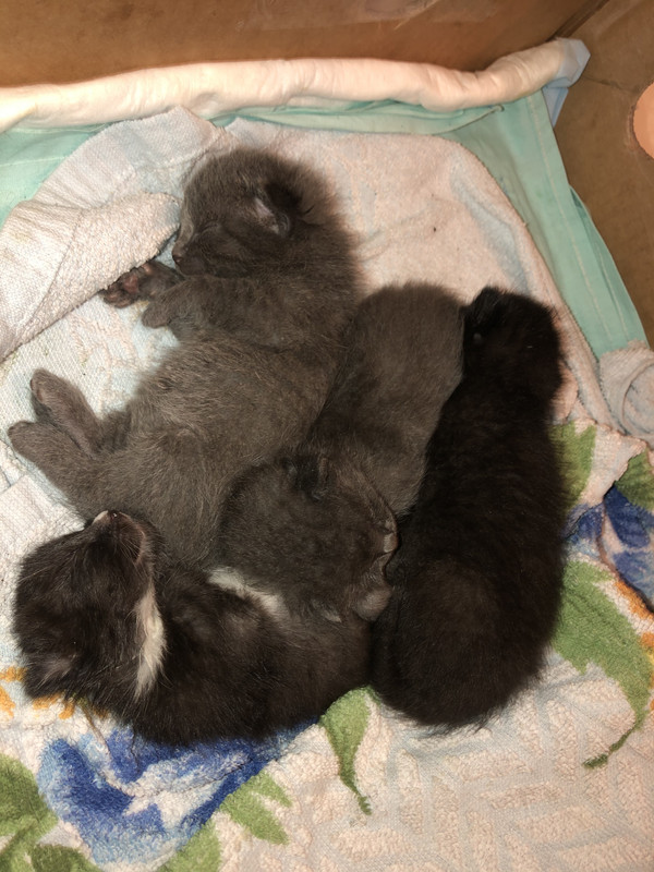 94508785-511F-4484-8993-4EAD5B5AC8C0