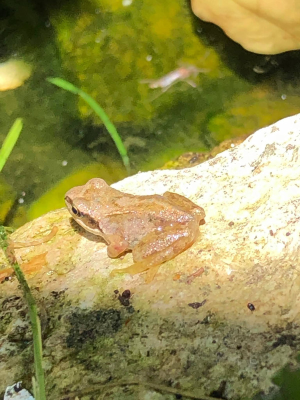 66414053_10157301039497457_5812880709173379072_o