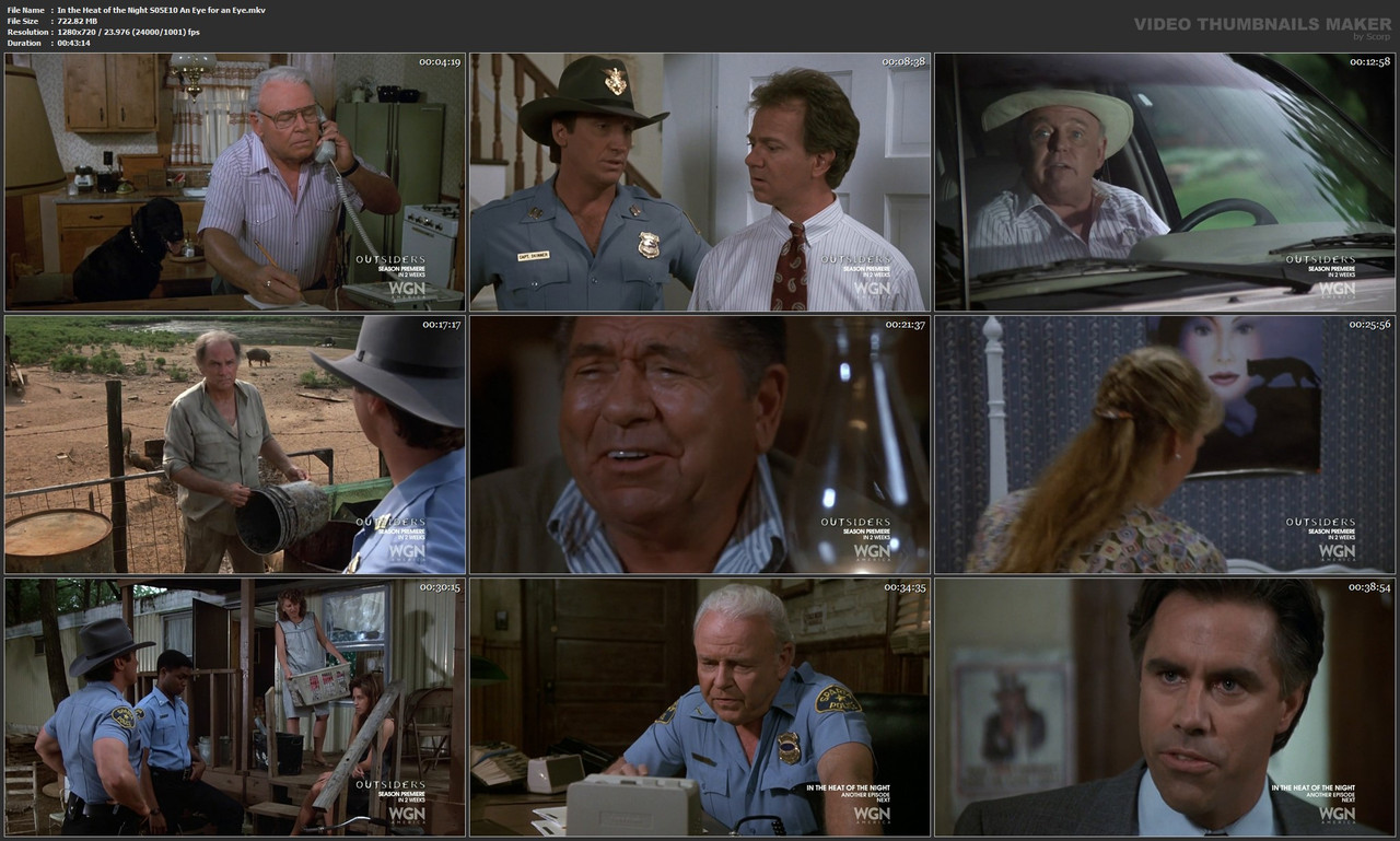 In the Heat of the Night S05E10 An Eye for an Eye.mkv