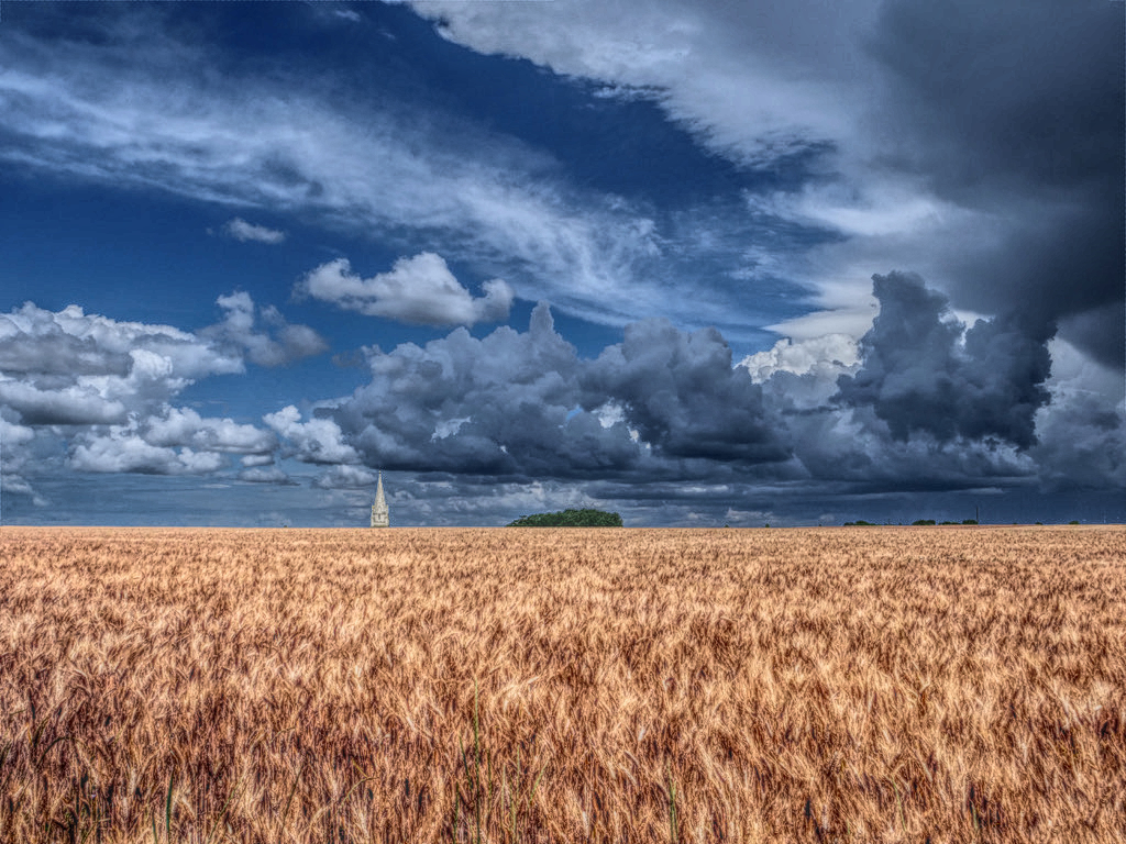 F081A91E-2356-4926-8CD5-469F95AEF658