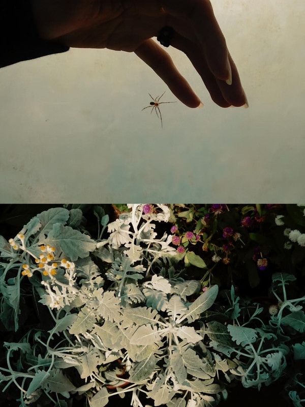 photo 6 2026 01 16 21 56 05