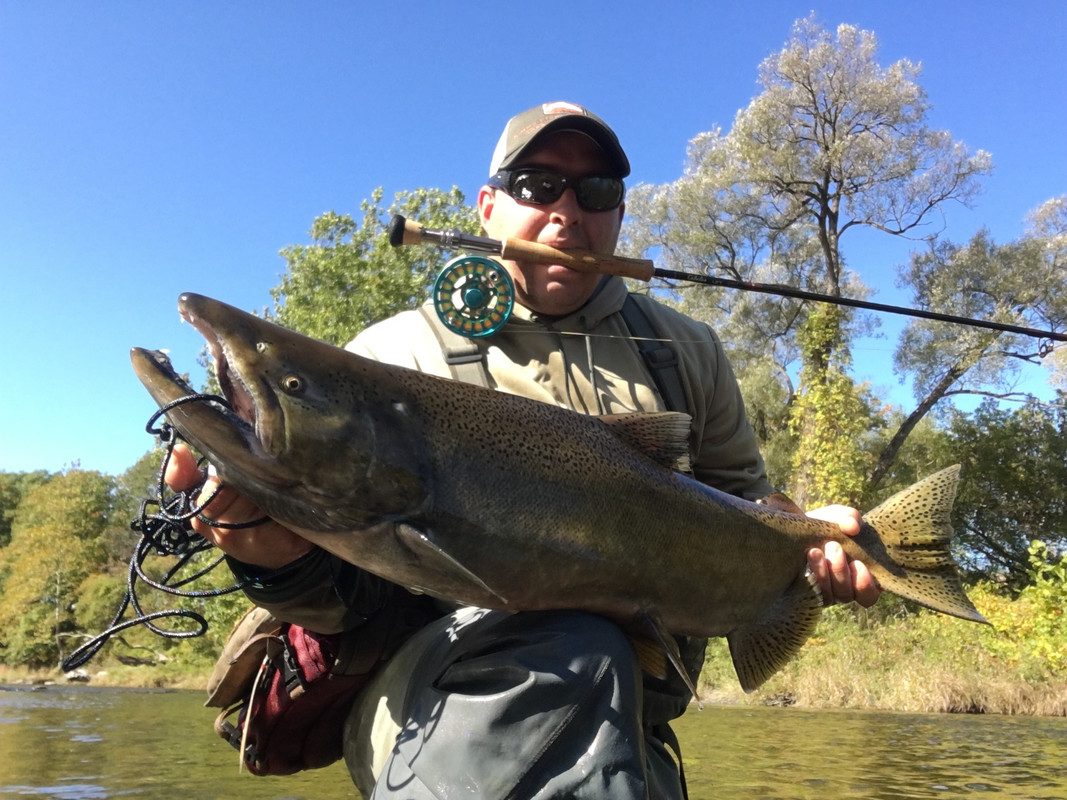 C05DD02E-166E-4509-87EA-04EA737C5739