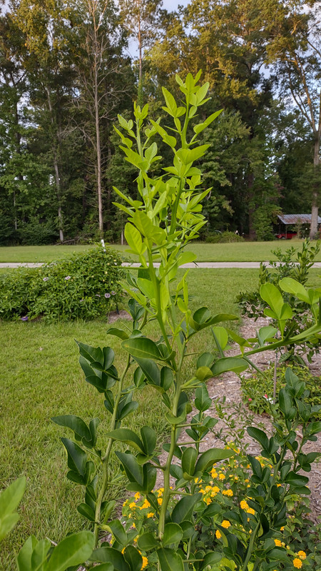 IMG_20240922_183422613_HDR