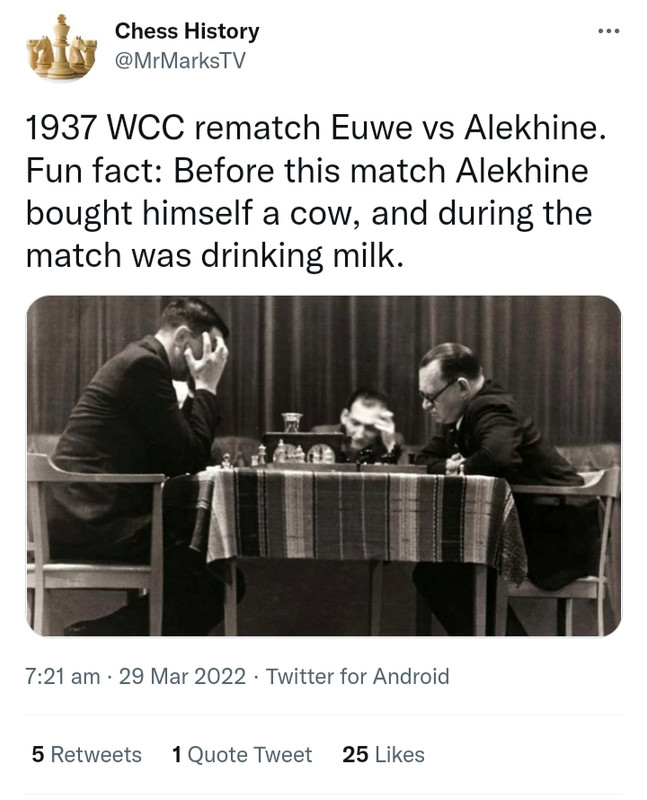 Alekhine loved cats 