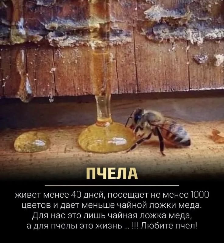 [Изображение: image.jpg]