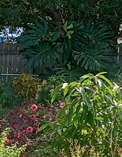 IMG_20231101_133413205_HDR~3