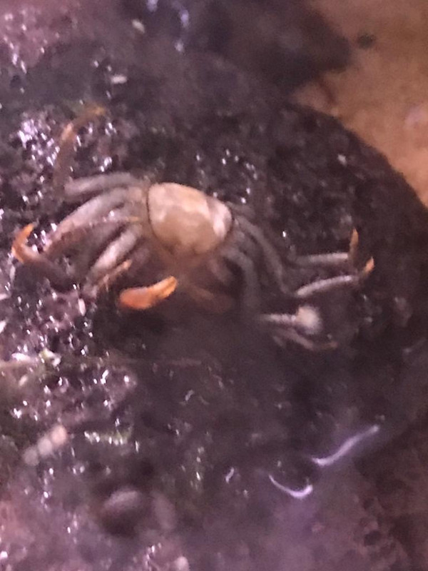 WhatsApp Image 2021-03-09 at 19.43.57