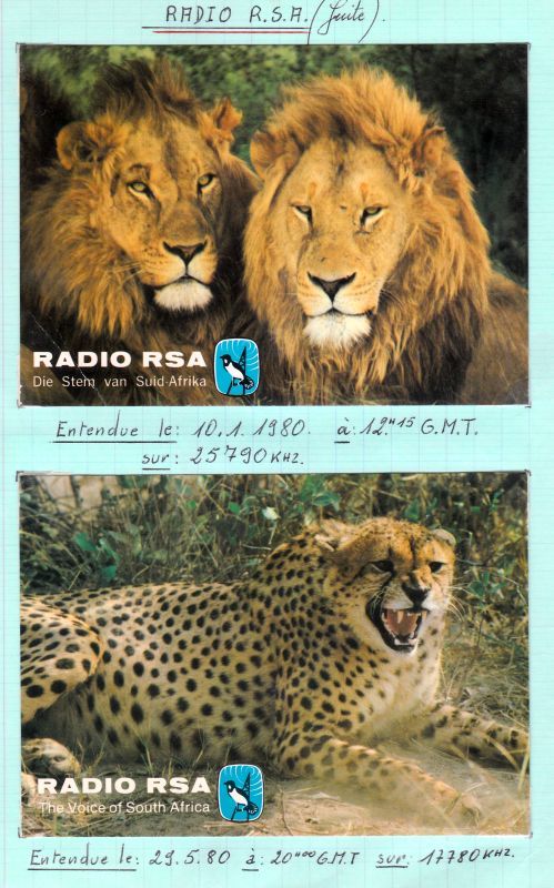 QSL R.RSA (Afrique du Sud) QSL-R-RSA-1980