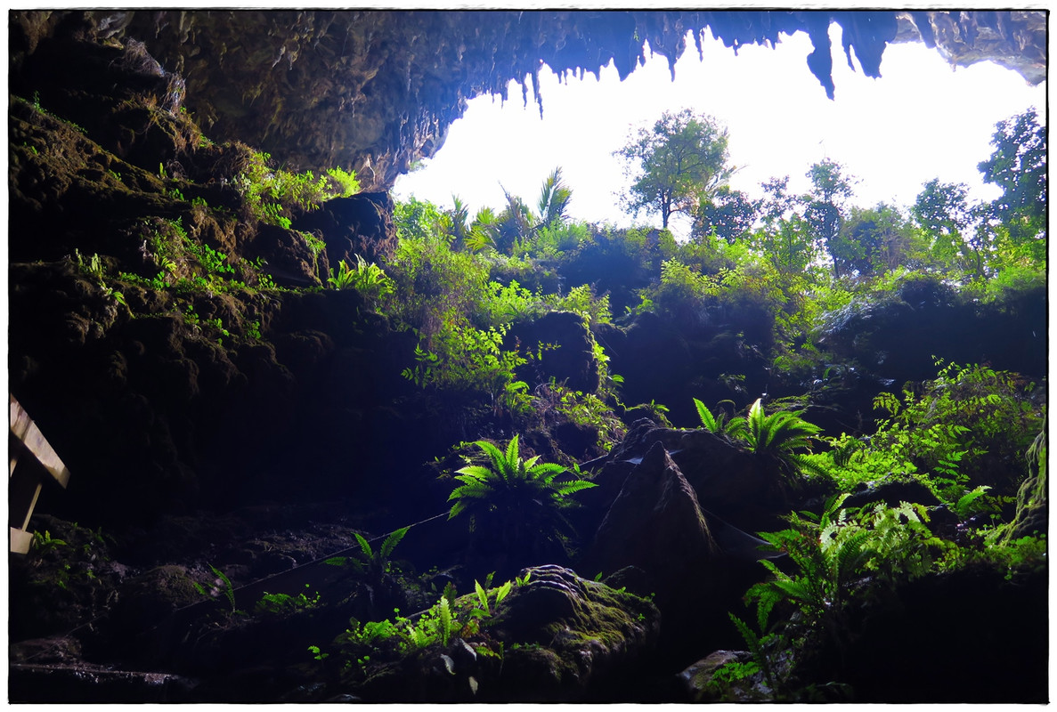 Escapadas y rutas por la Nueva Zelanda menos conocida - Blogs de Nueva Zelanda - Golden Bay (Navidad 2020, II) (40)