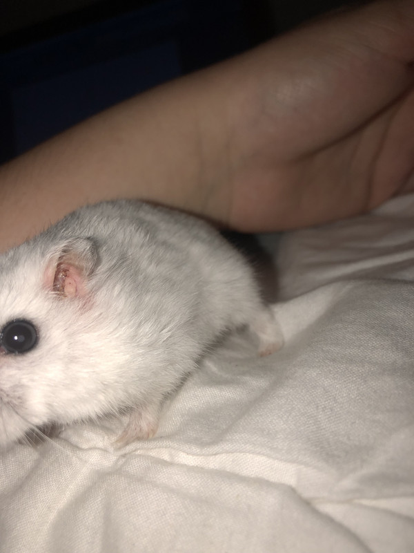 E4815DA3-B01F-492B-B811-DCD813733E22