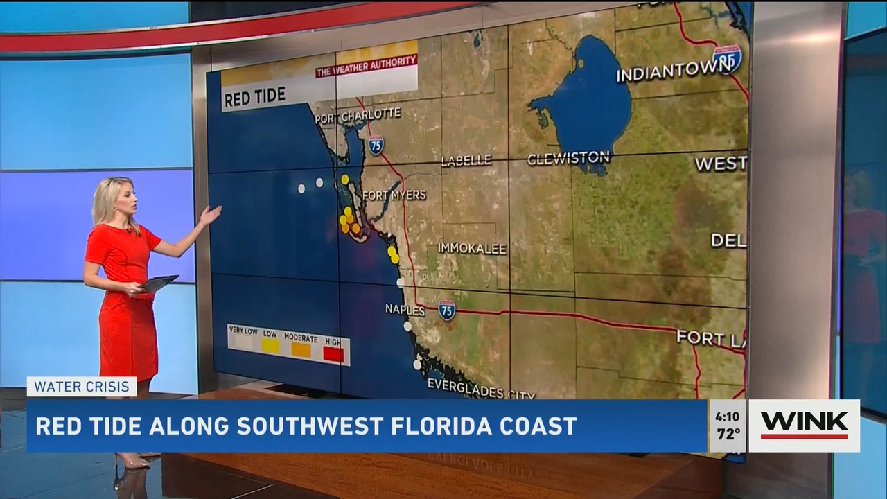 01.21 - 21.00.00 - WINK News @ 4PM..ts_snapshot_00.11.45.958