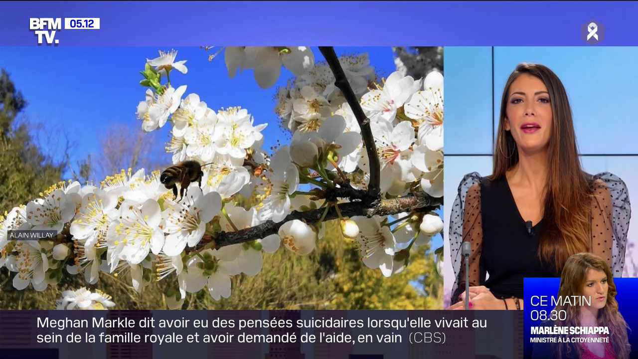 2021-03-08_04_30_BFMTV_Premiere-edition.mp4_snapshot_00.47.51.342