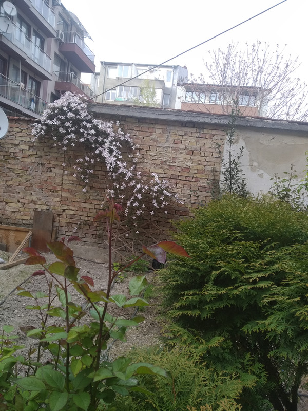 IMG_20190427_165846