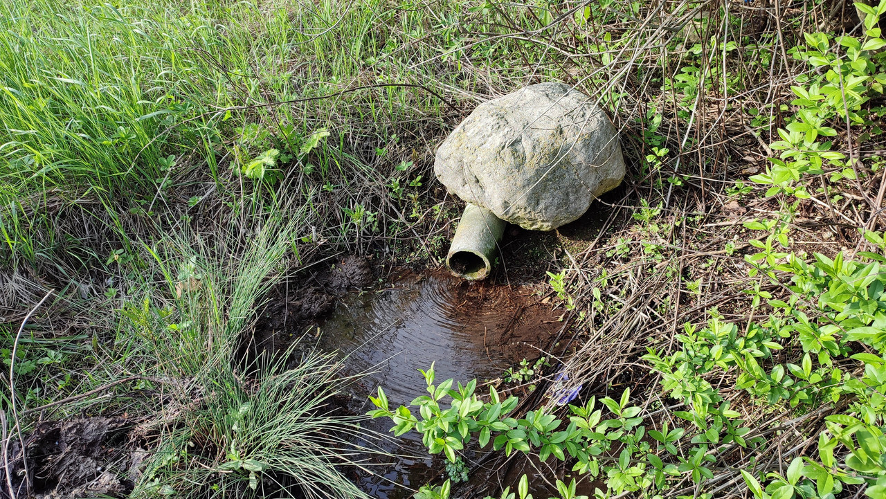 IMG_20230514_072748 кор