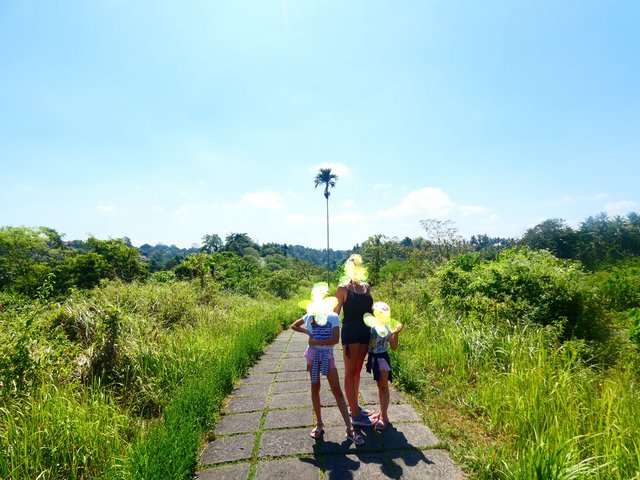 --Día 7 (23 de junio): Día libre por Ubud - Indonesia 2023 (Borneo - Bali - Gili) (3)