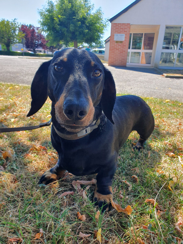 [Image: 20220809-160316.jpg]