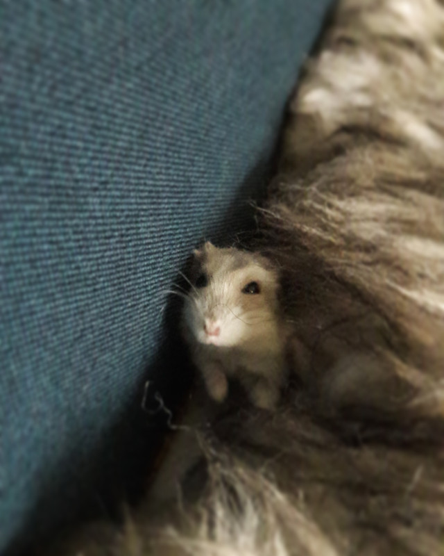 IMG_20180209_103549_560