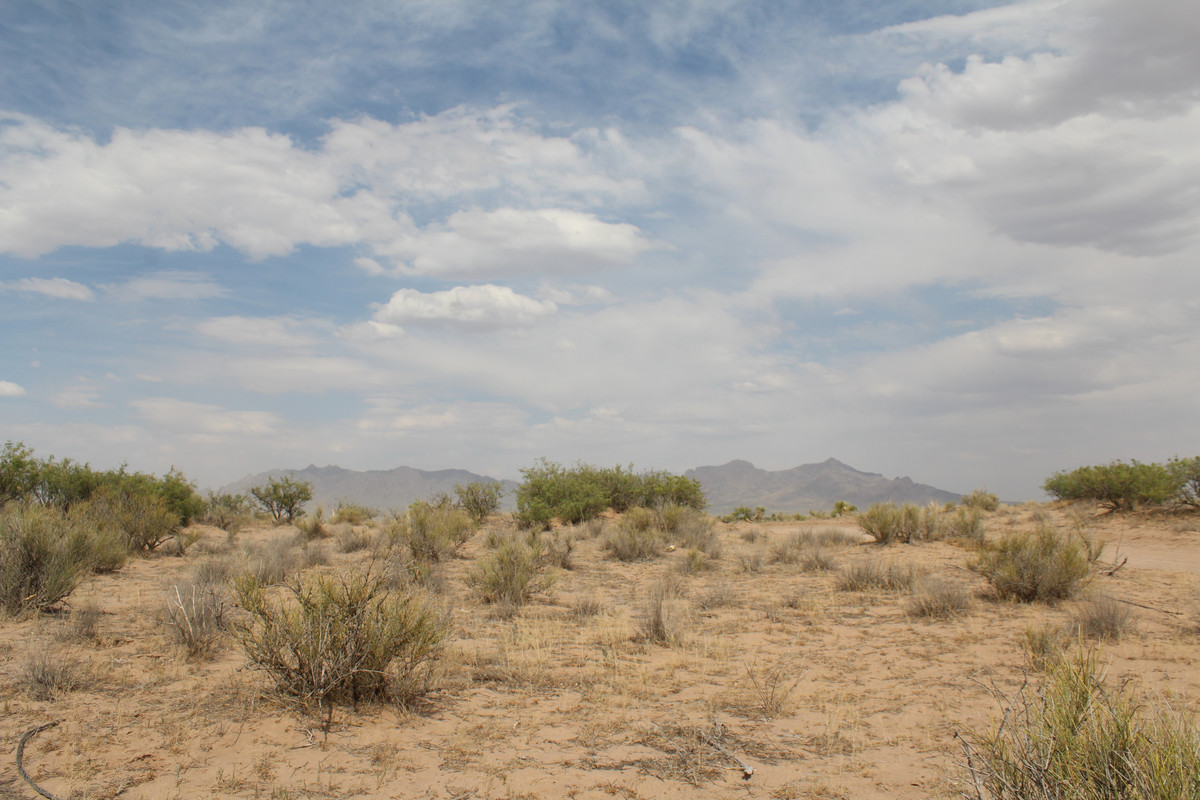 "Prime 4.8 Acre Vacant Lot Offers Limitless Potential South of Deming, NM"