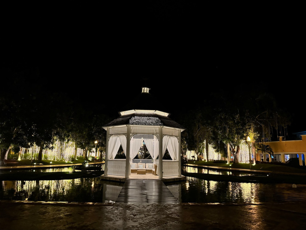 263378D7-F848-4836-A353-C8A795A269CD