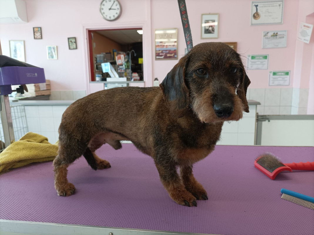 [Image: image000001-84.jpg]