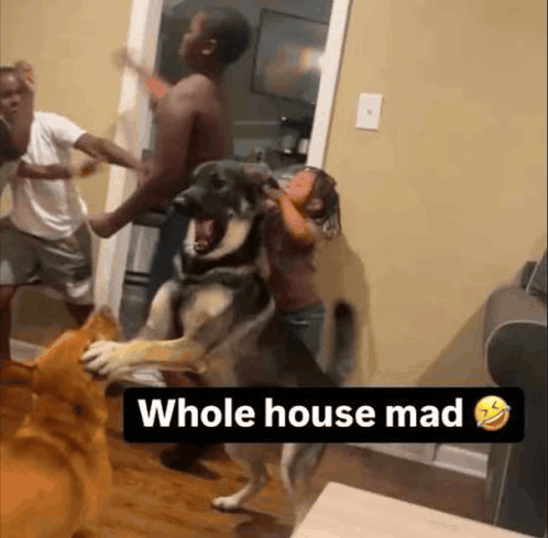mad-whole-house-mad.png