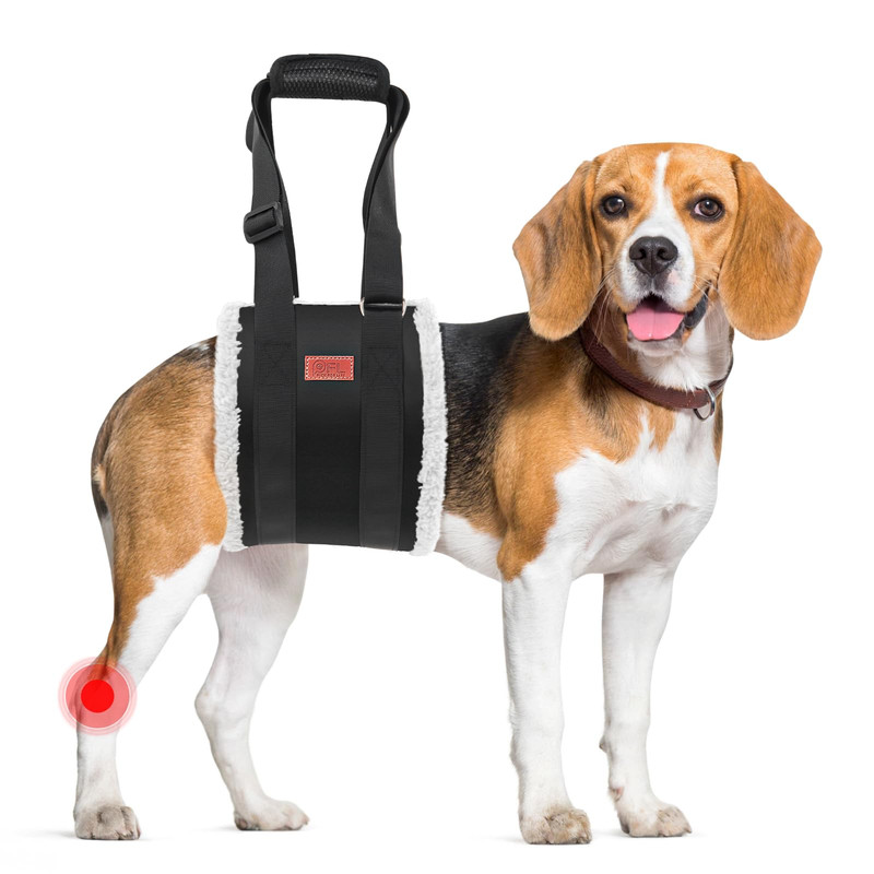 Adjustable Dog Lift Harness Rear Leg Support Medium