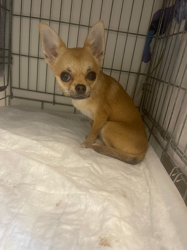 8f665141-1a5d-476a-8ac0-6b122a611f48