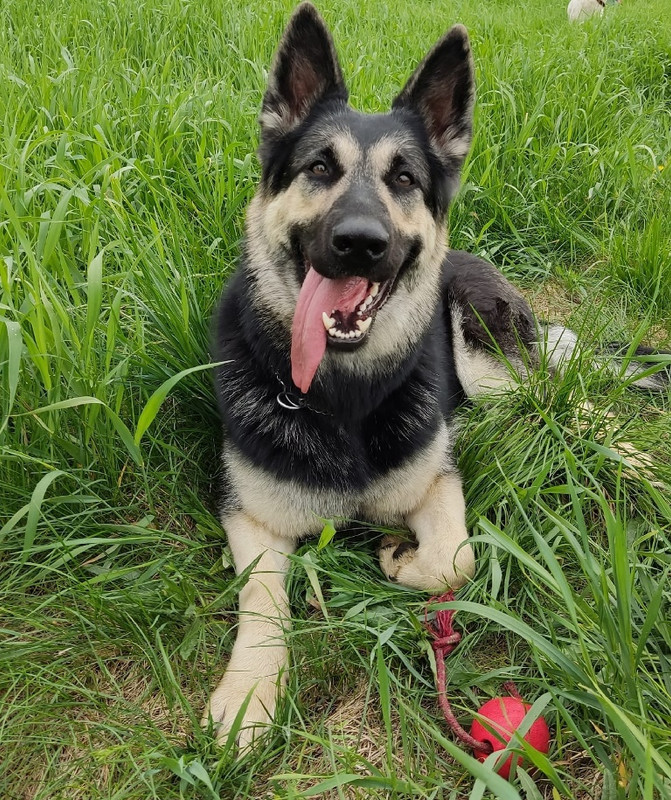 bKNWdOZss_lfuUaPg979w57QYUNyuQLwITul8p489XNqp-4Yos9GxSdly5h7x-gUhvp0EKJ22yw96ZblrkXD3gML