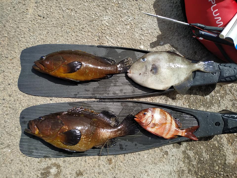 288670005_10226182786652353_3295956878495771506_n