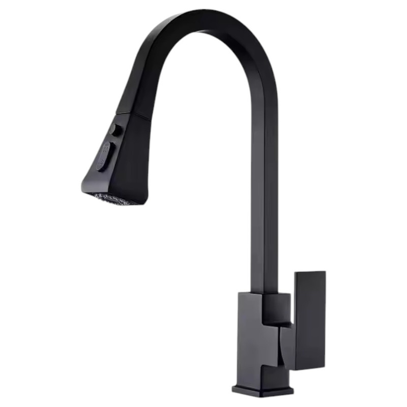 FRANCIA BLACK
