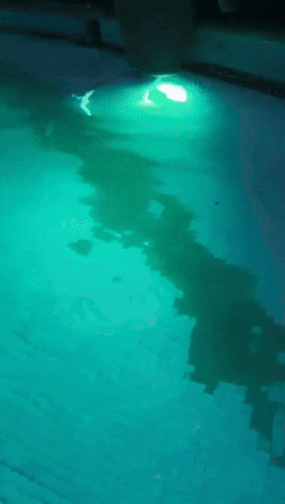 ezgif-6-4849d1ee15.gif