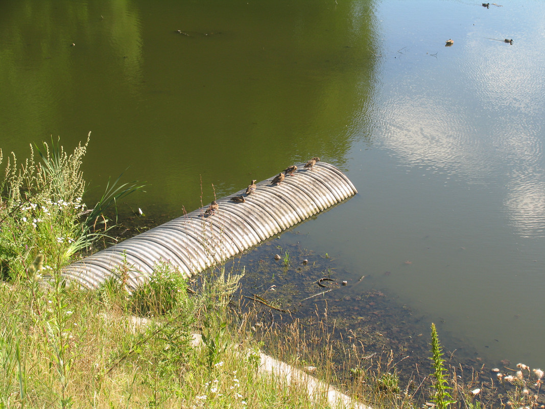 21 Июля 2024 043