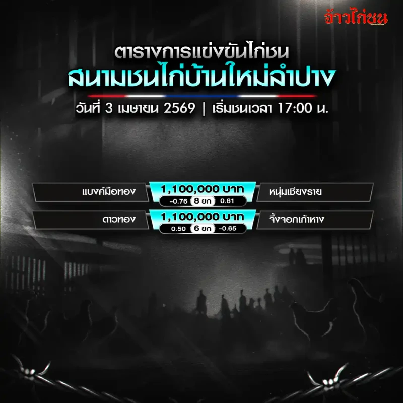 โปรแกรมไก่ชน บ้านใหม่ลำปาง วันศุกร์ที่ 3 เมษายน 2569