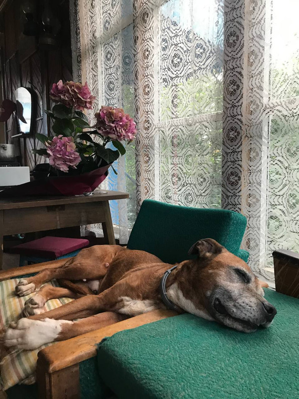 F19A582F-4DA1-470C-A724-27749A3651BD