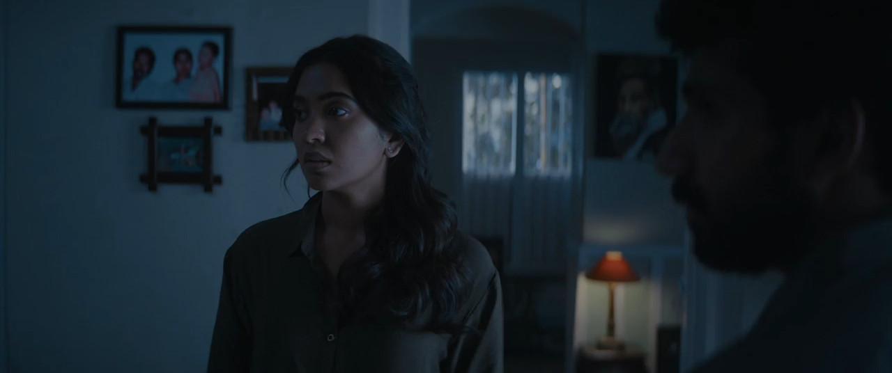 Aaromaley 2025 WebRip [Hindi + Tamil + Telugu + Malayalam + Kannada] 480p 720p ESub Screenshot