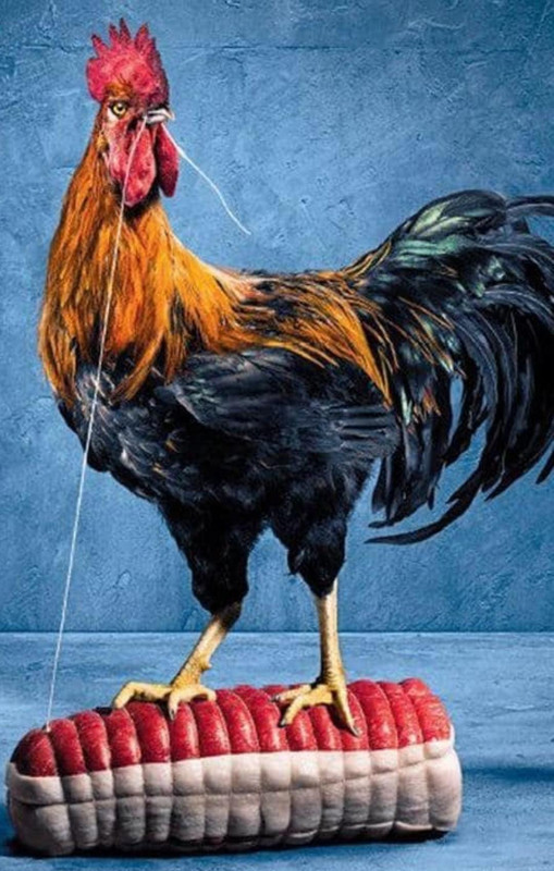 3430CAE1-7909-4361-8A82-6D2EC4B4ABB2