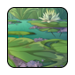 lilypad1.png