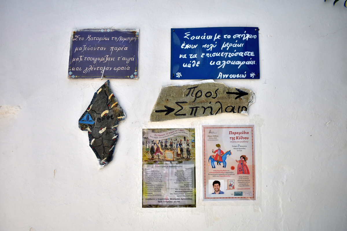 Δρυοπίδα (3)