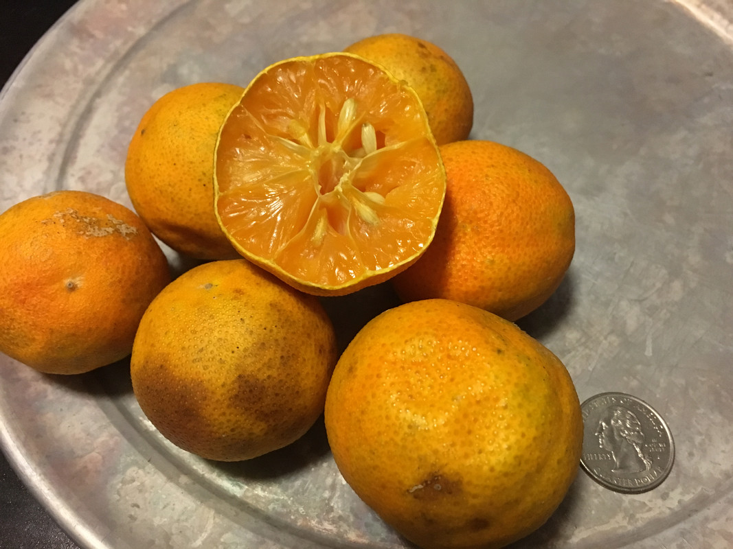 2080F299-21A7-40A0-8B7A-CD2760966410