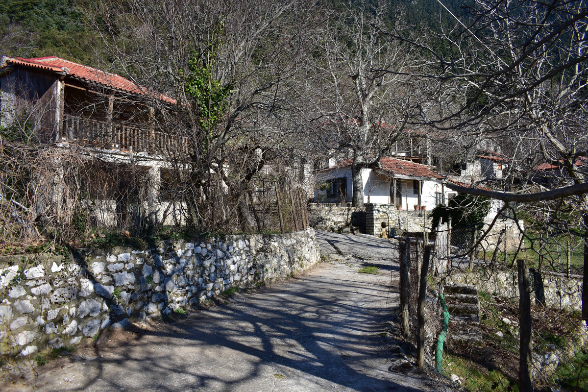 Βάργιανη (10)